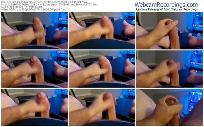 2025/01/21/chaturbate-thesentinel86-04-51-24