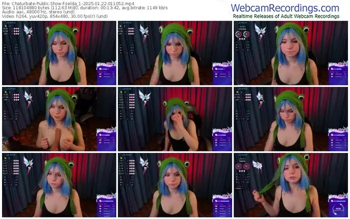 2025/01/22/chaturbate-zelda_1-01-10-52