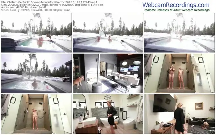 2025/01/23/chaturbate-blondefoxsilverfox-19-27-43