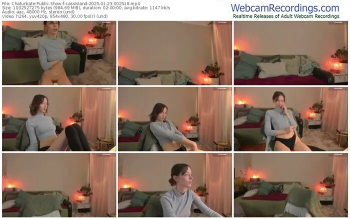 2025/01/23/chaturbate-cassisland-00-25-18