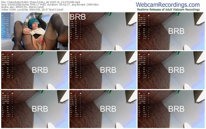 2025/01/23/chaturbate-miku_alt-07-52-48