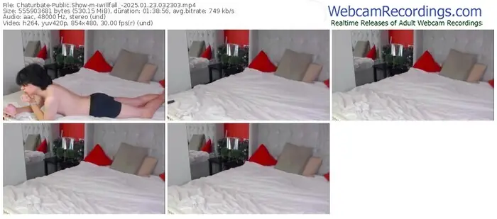 2025/01/23/chaturbate-iwillfall_-03-23-03
