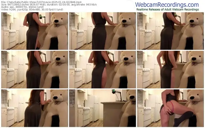 2025/01/24/chaturbate-007movie-02-28-48