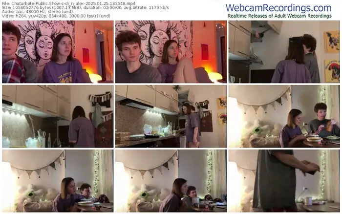 2025/01/25/chaturbate-di_n_alex-13-35-48