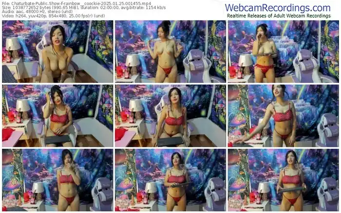 2025/01/25/chaturbate-rainbow__coockie-00-14-55