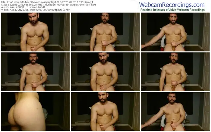2025/01/25/chaturbate-wannaplay1025-18-36-10