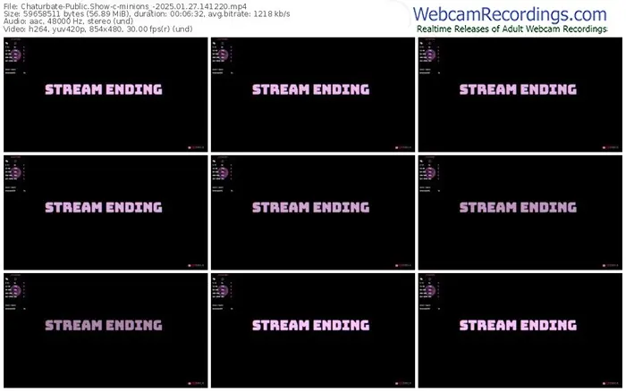 2025/01/27/chaturbate-minions_-14-12-20