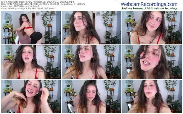 2025/01/27/chaturbate-littlelaksmi-20-08-11