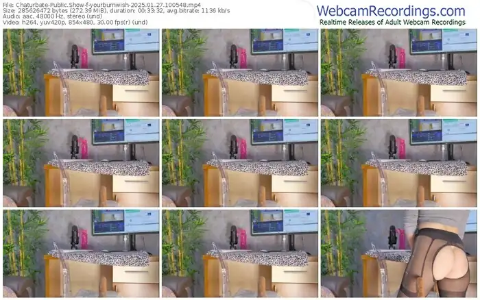 2025/01/27/chaturbate-yourburnwish-10-05-48
