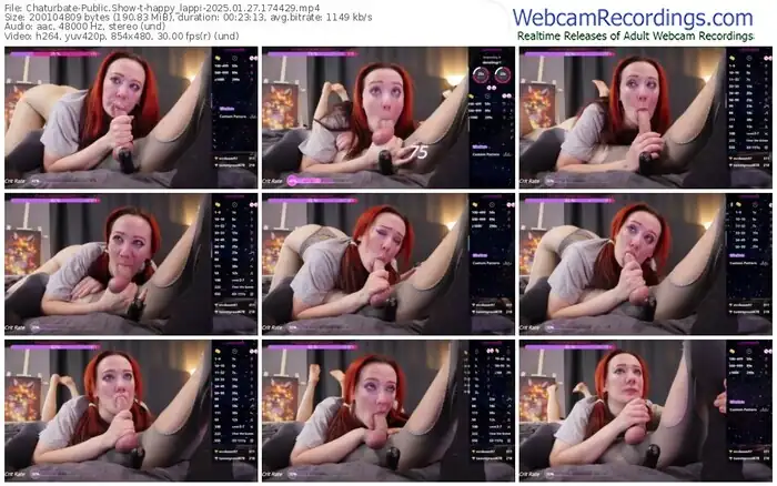 2025/01/27/chaturbate-happy_lappi-17-44-29