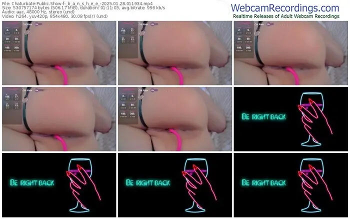 2025/01/28/chaturbate-_b_a_n_s_h_e_e_-01-19-34