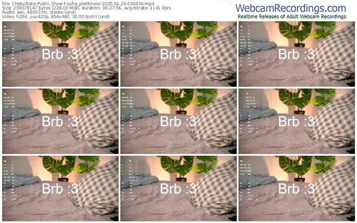 2025/01/29/chaturbate-sofia_prettiness-03-04-39
