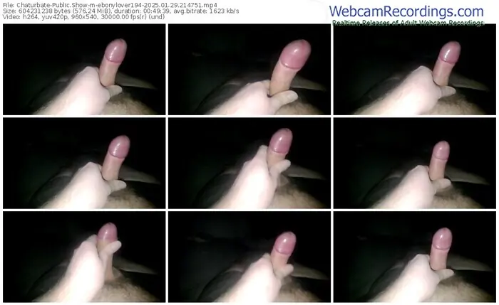2025/01/29/chaturbate-ebonylover194-21-47-51