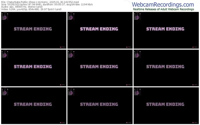 2025/01/30/chaturbate-minions_-14-23-52