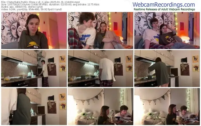 2025/01/31/chaturbate-di_n_alex-13-44-04