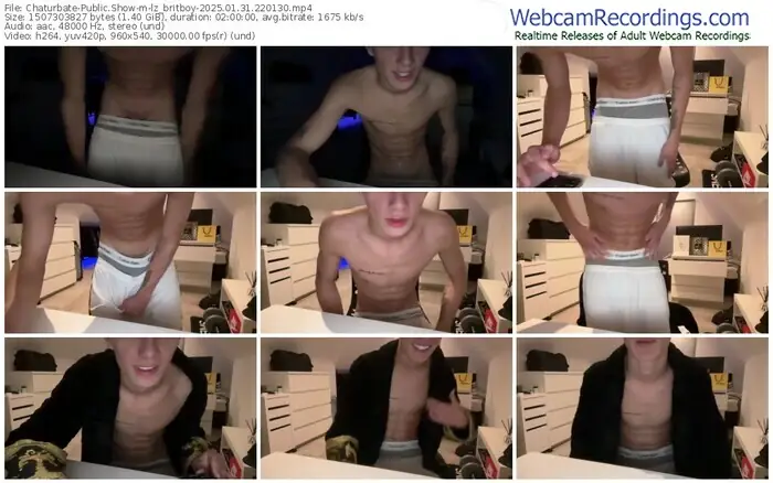 2025/01/31/chaturbate-lz_britboy-22-01-30