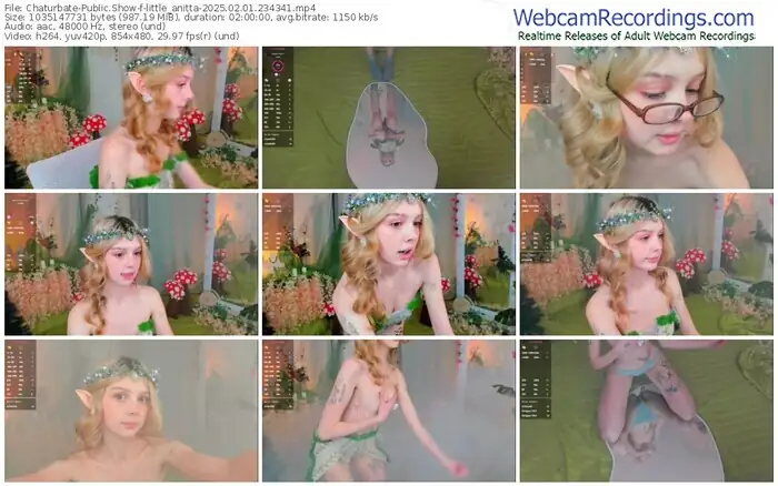 2025/02/01/chaturbate-little_anitta-23-43-41