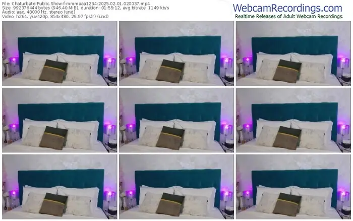 2025/02/01/chaturbate-mmmaaa1234-02-00-37
