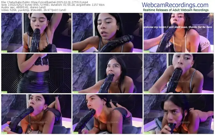 2025/02/01/chaturbate-nicollbashel-07-55-13