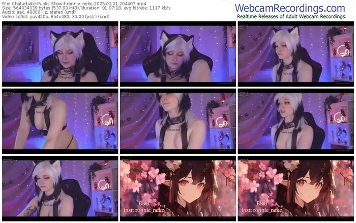 2025/02/01/chaturbate-ronnie_neko-20-44-07