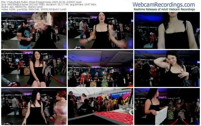 2025/02/01/chaturbate-tiggerrosey-23-26-07