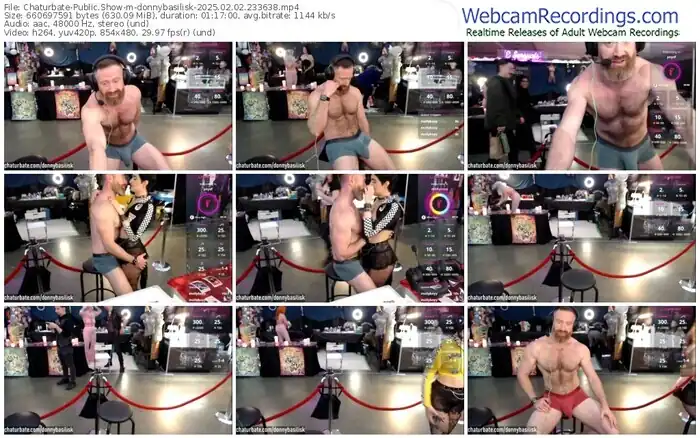 2025/02/02/chaturbate-donnybasilisk-23-36-38