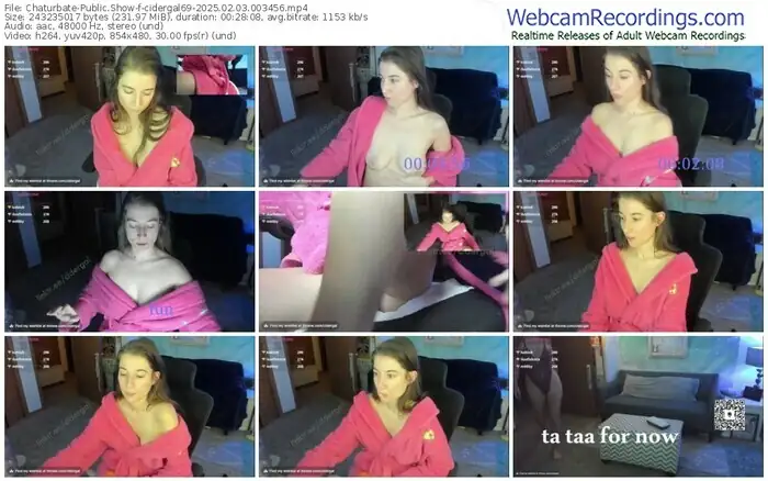 2025/02/03/chaturbate-cidergal69-00-34-56