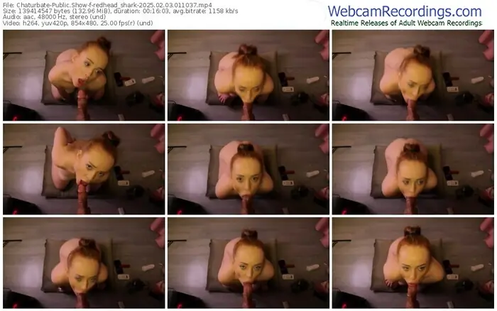 2025/02/03/chaturbate-redhead_shark-01-10-37