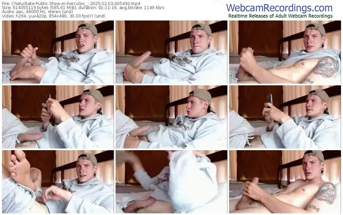 2025/02/03/chaturbate-hercules__-00-54-30