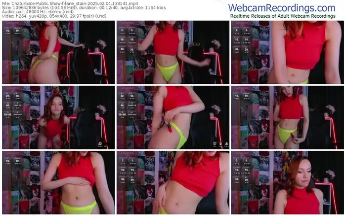 2025/02/04/chaturbate-fane_stain-13-31-41