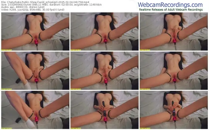 2025/02/04/chaturbate-wild_schoolgirl-04-17-58