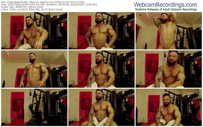 2025/02/04/chaturbate-adonis_msc-03-31-17