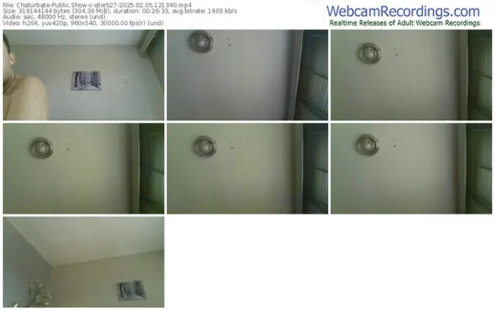 2025/02/05/chaturbate-qtie527-12-13-40