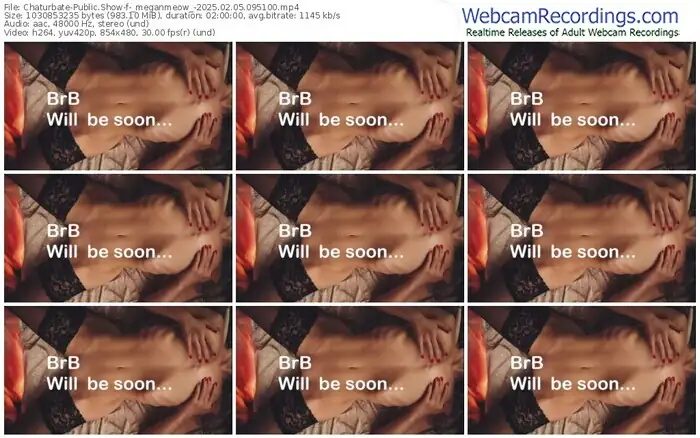 2025/02/05/chaturbate-_meganmeow_-09-51-00