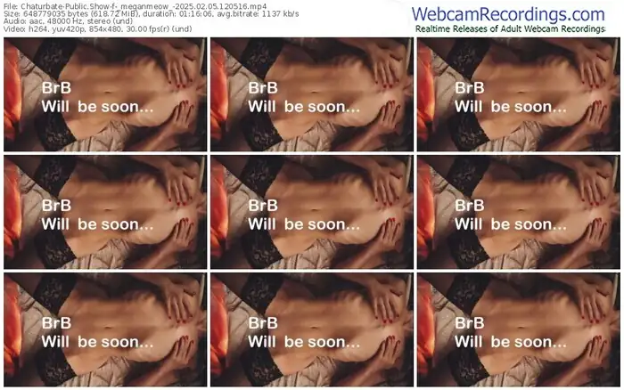 2025/02/05/chaturbate-_meganmeow_-12-05-16