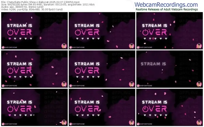 2025/02/07/chaturbate-8abycat-19-00-50