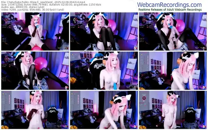 2025/02/08/chaturbate-_sparkland_-00-42-14
