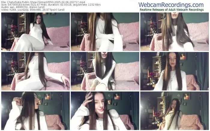 2025/02/08/chaturbate-bmwm5f90-20-27-17