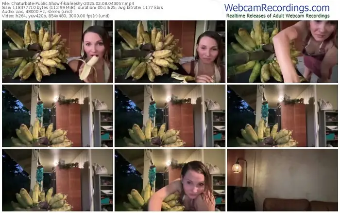 2025/02/08/chaturbate-kaileeshy-04-30-57