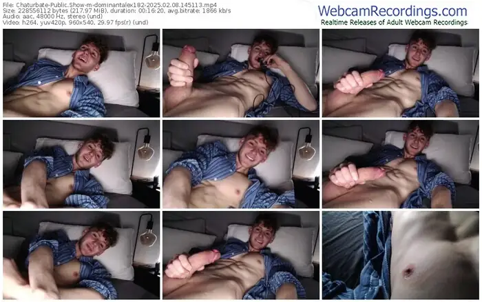 2025/02/08/chaturbate-dominantalex182-14-51-13