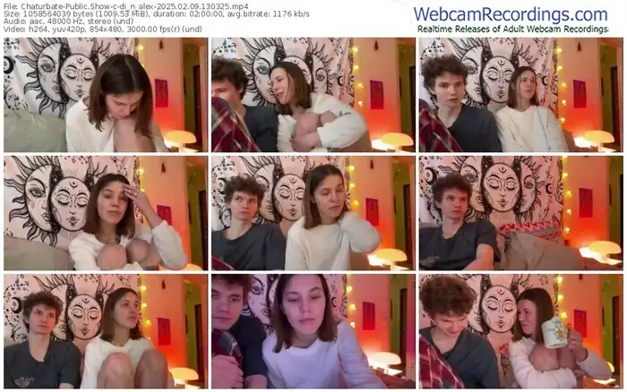 2025/02/09/chaturbate-di_n_alex-13-03-25