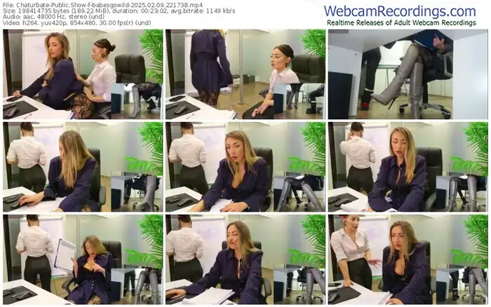 2025/02/09/chaturbate-babesgowild-22-17-38