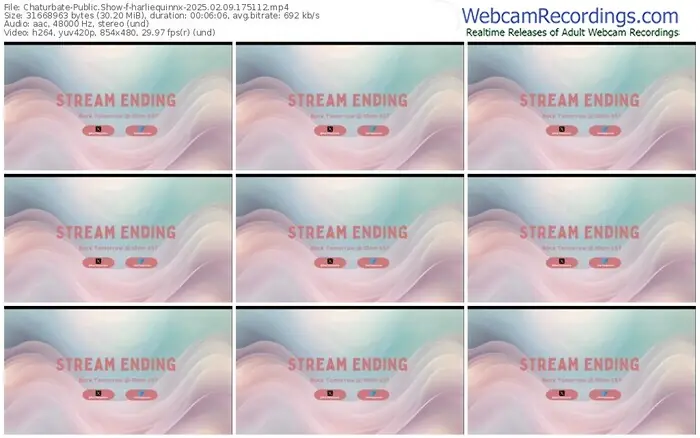 2025/02/09/chaturbate-harliequinnx-17-51-12