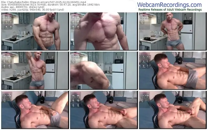 2025/02/09/chaturbate-ericeric507-06-04-51