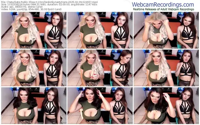 2025/02/09/chaturbate-10incheskinkynastytrans-02-20-07