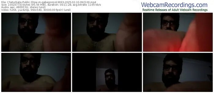 2025/02/10/chaturbate-gabegonzo19993-09-21-00