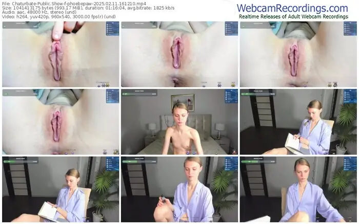 2025/02/11/chaturbate-phoebepaw-16-12-10