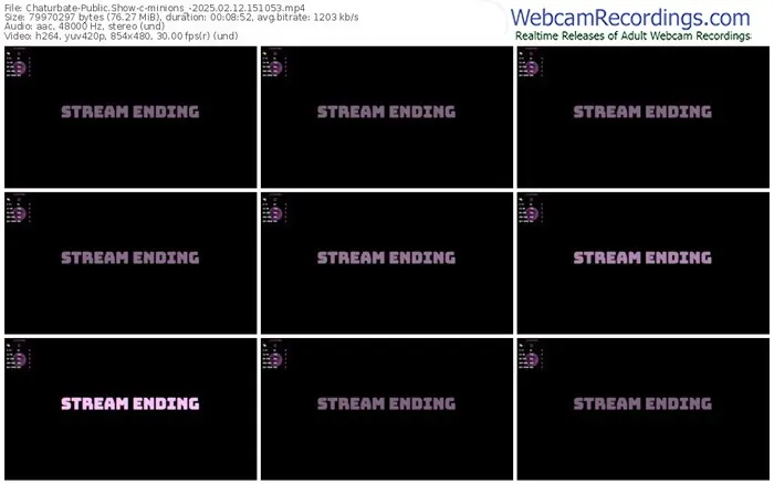 2025/02/12/chaturbate-minions_-15-10-53
