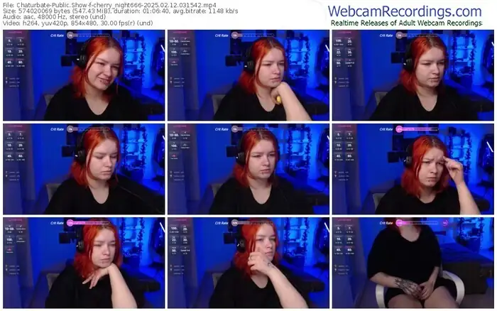 2025/02/12/chaturbate-cherry_night666-03-15-42