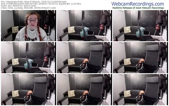 2025/02/12/chaturbate-littleviki_-09-40-28